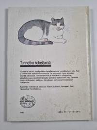 Navettakissat