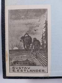 Skuggan af ett brott : roman
