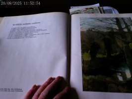 Kohtaamisia Edith Södergran/Helene Schjerfbeck