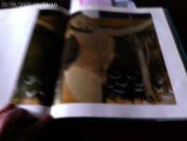 Kohtaamisia Edith Södergran/Helene Schjerfbeck