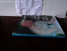 Kohtaamisia Edith Södergran/Helene Schjerfbeck