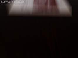 puutavaralajit niiden valmistus