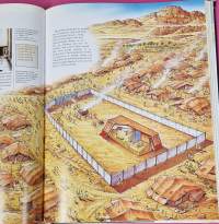 The Lion Atlas Of Bible History