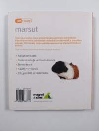 Marsut