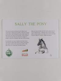 The story of sally the pony and how she lost her friend pepper
