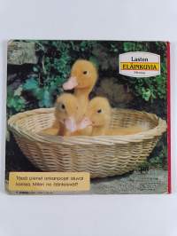 Lasten eläinkuvia