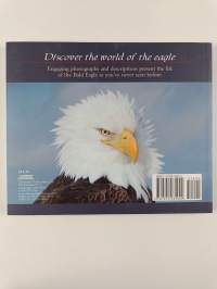 Majestic Eagles - Compelling Facts and Images of the Bald Eagle