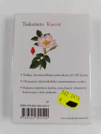 Kasvit