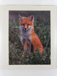 Wildlife of North America