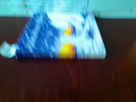 Jääkarhun yllätys : silitä eläimiä