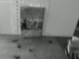 Duudsonit : jekkukirja