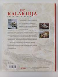 Iso kalakirja : ahvenesta vimpaan