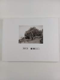 Signe Brander 1869-1942 : Helsingin valokuvaaja = Helsingfors fotograf