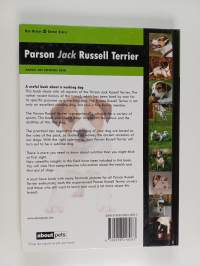Parson Jack Russell Terrier