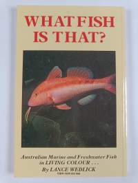 What fish is that?