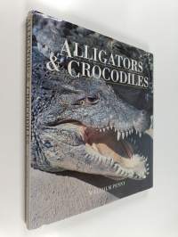 Alligators &amp; Crocodiles