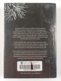 Kiven sisässä : vuoren kirja