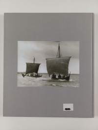 Viking ship museum boats