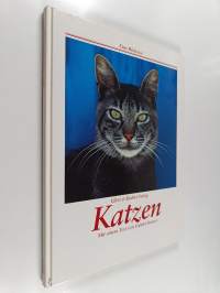 Katzen