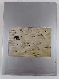 Australia the Beautiful : Wilderness