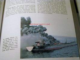 The year book 1980