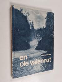 En ole vaiennut : arkipäivän esseitä