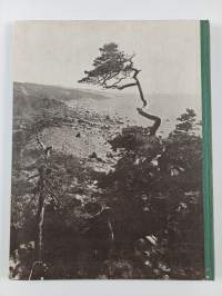 Suursaari