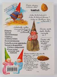Suuri taskutonttukirja