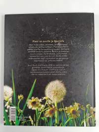 Missä, tässä, jossakin