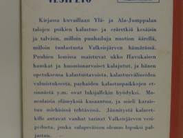 Valkeisjärven vesipeto - Poikien kalastusseikkailuja
