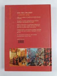 Veje ind i billedet : maleriets sprog