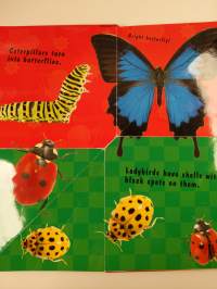 My Giant Fold Out Bugs &amp; Spiders