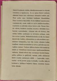 Vuorimiehen poika