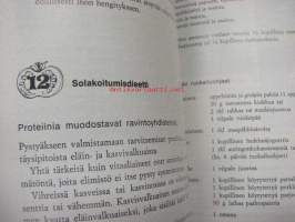 Kauneutta joogasta. Kahden viikon kauneus- ja kunto-ohjelma