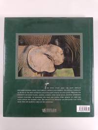 The Art of Being an Elephant