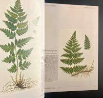 Flora : Suomen suurkasvio (numeroitu)