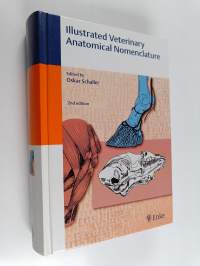 Illustrated veterinary anatomical nomenclature