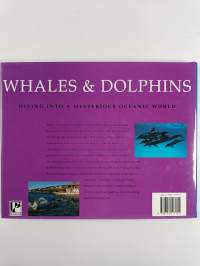 Whales &amp; dolphins : Whales and dolphins