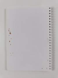 Solunjohtajan käsikirja