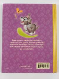 Ludde : en liten valps äventyr