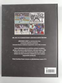 Jääkiekkoleijonat
