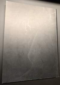 Konst som motstånd : tysk konst från mellankrigstiden = Vastavirta : Saksan taide sotien välissä