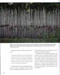 Aita  -perinteiset aidat ja portit