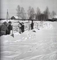 Aita  -perinteiset aidat ja portit