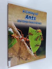 A colony of ants and other insect groups