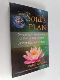 Your Soul&#039;s Plan : Discovering the Real Meaning of the Life You Planned Before You Were Born