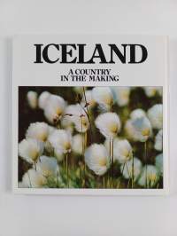 Iceland - The Surprising Island of the Atlantic