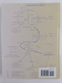 Laboratory Evaluations for Integrative and Functional Medicine