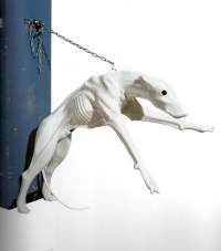 Kim Simonsson : Vuoden nuori taiteilija 2004 - Young artist of the year 2004