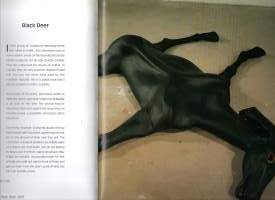 Kim Simonsson : Vuoden nuori taiteilija 2004 - Young artist of the year 2004